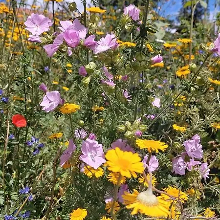 Gartensuite Am Rande Der Schwabischen Alb